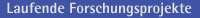 Laufende Forschungsprojekte