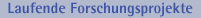 Laufende Forschungsprojekte